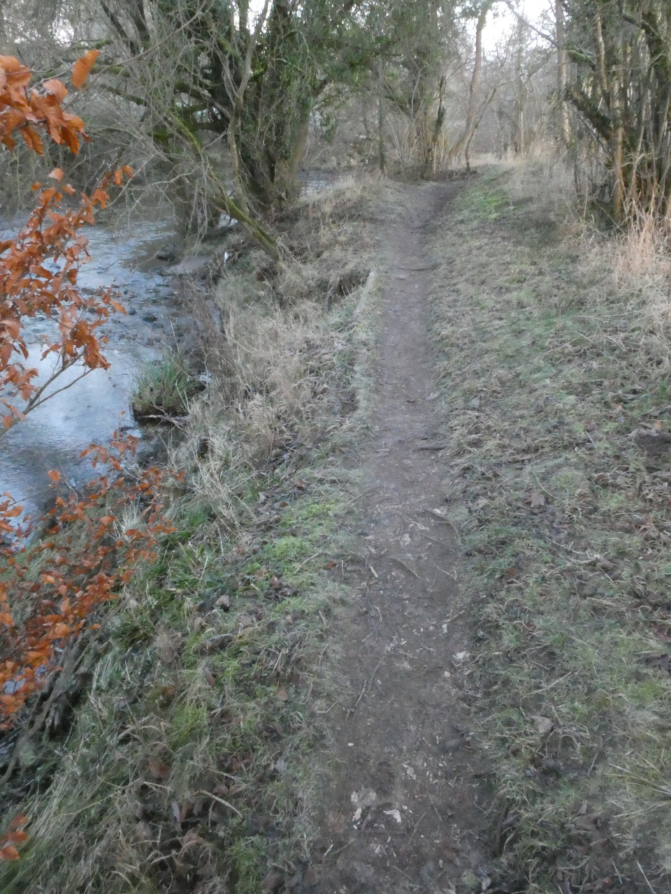 Photo by John Ockenden